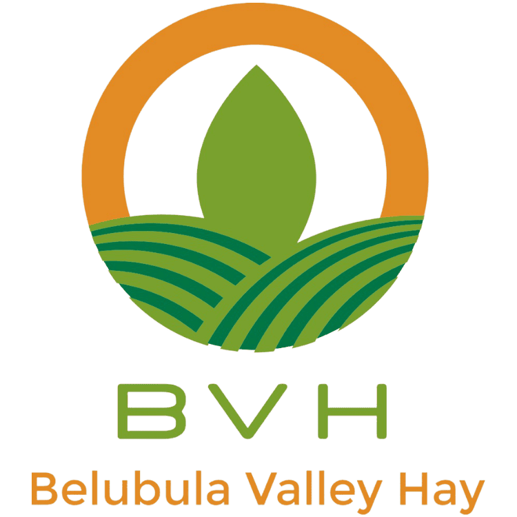 Logo for Belubula Valley Hay with stripes of dark and light green in a stylised farm, surrounded by an orange circle.