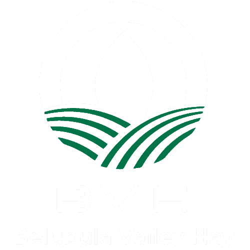 Reverse logo for Belubula Valley Hay for use on dark backgrounds. Stripes of white imply a stylised farm, surrounded by a white circle.