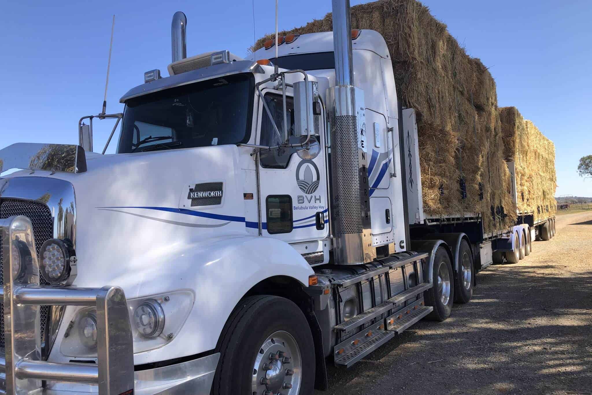 Bales of hay are stacked on a semi-trailer truck that has the Belubula Valley Hay logo on the passenger's door